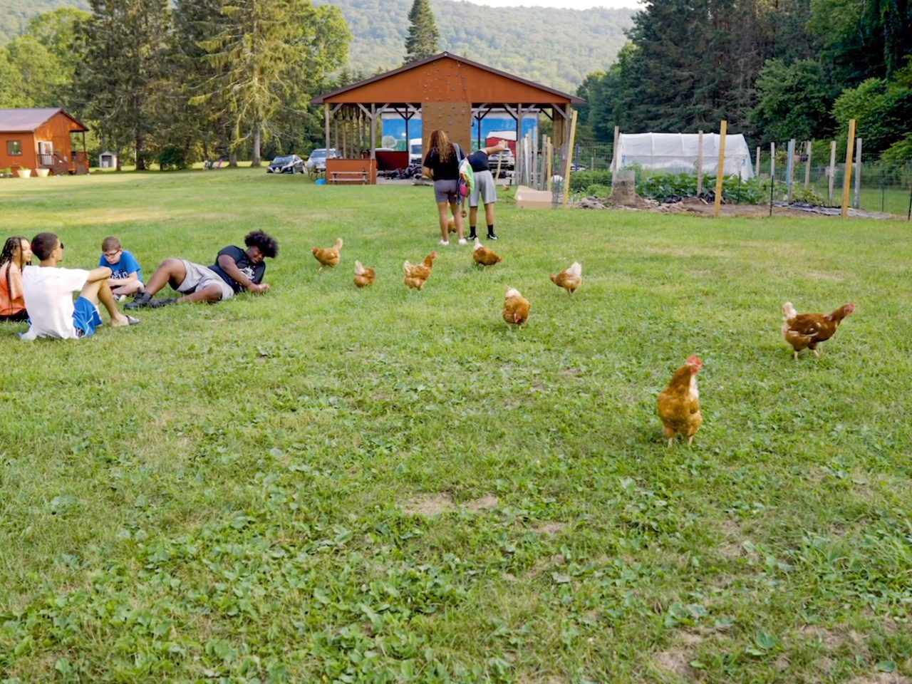 Steves Camp Campers Chickens